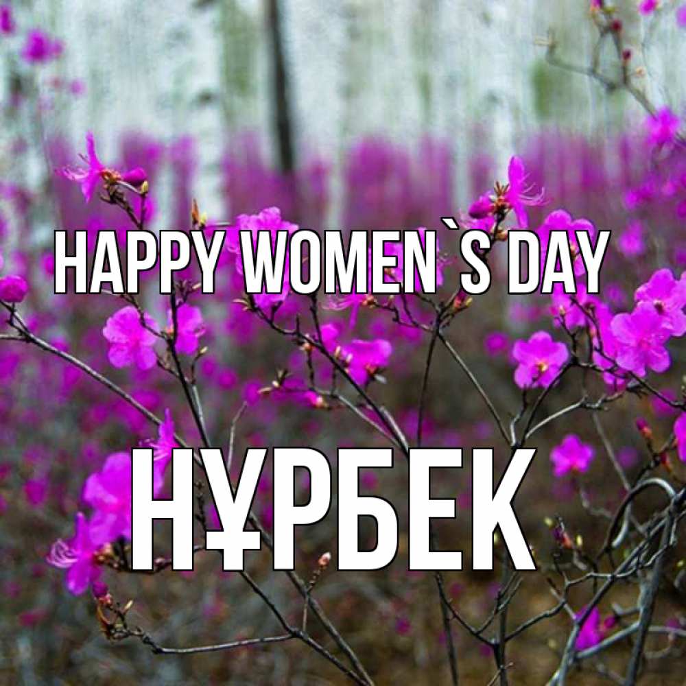 Greetings card с именем, НҰРБЕК happy women`s day дикие цветы Greetings with text for free download 